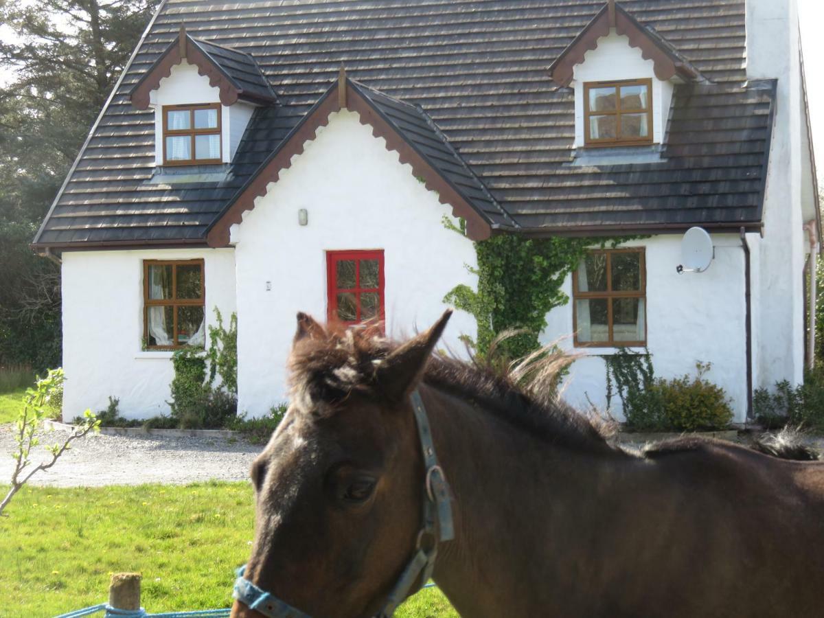 Letterfrack Mountain Farm Cottage On Farm In Village Centre Dış mekan fotoğraf